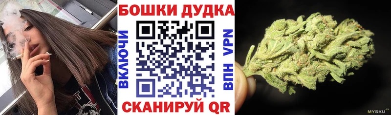 kraken   Абдулино  Бошки марихуана SATIVA & INDICA 